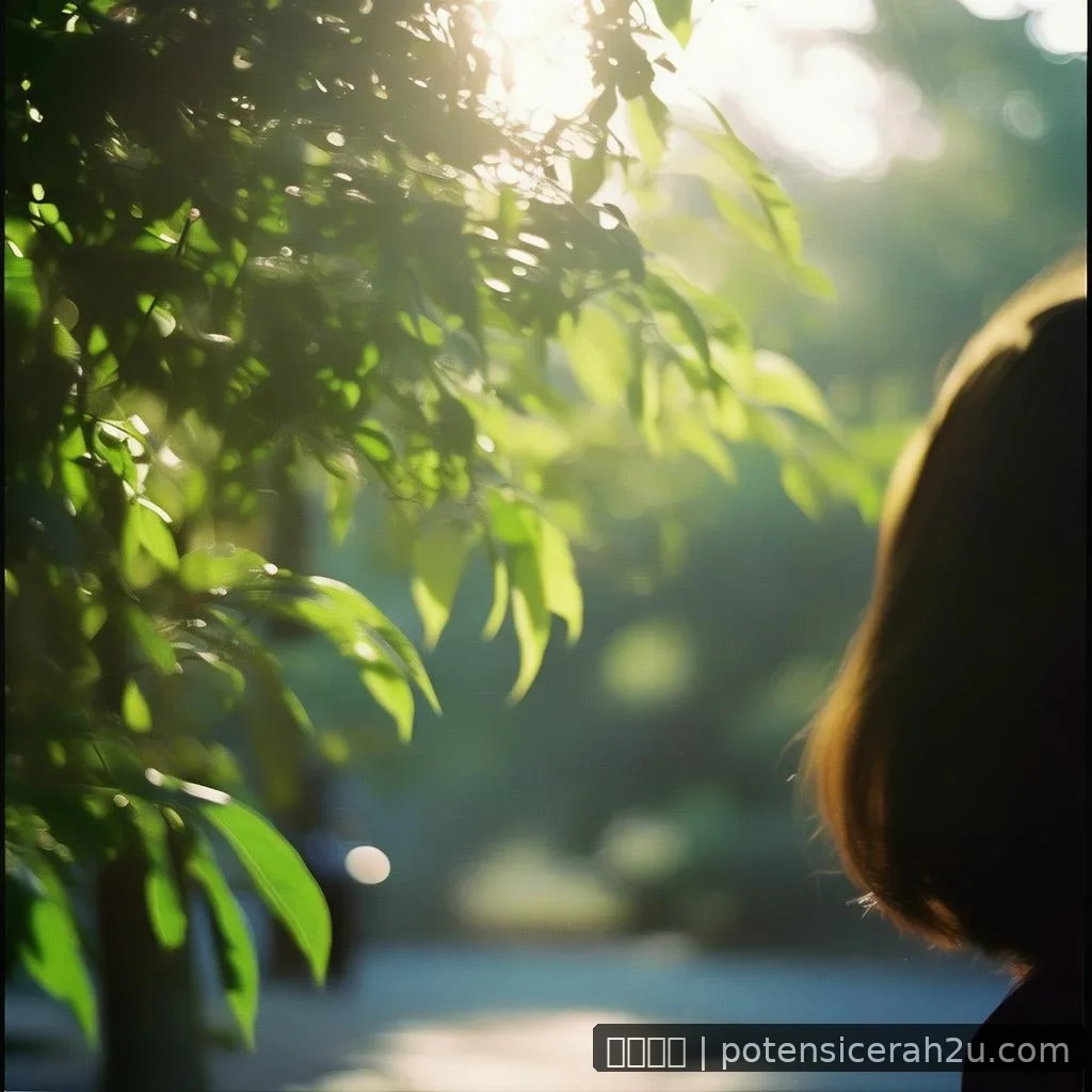 网文主角牺牲结局引发读者情感分歧